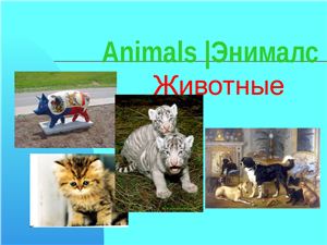 Animals (Животные)