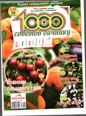 1000 советов дачнику 2016 №13
