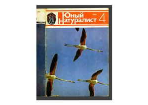 Юный натуралист 1984 №04