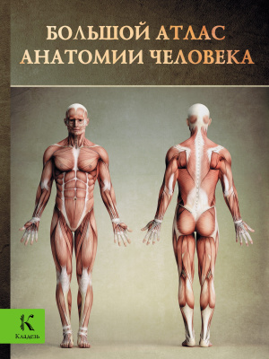 Перез В. Большой атлас анатомии человека