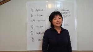 Choi Nataly. Изучаем корейский язык. Урок 27. Счетные существительные