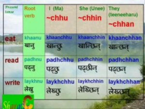 Видеокурс Learn Nepali Language