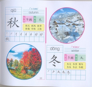 Китайский для детей. Первые 300 иероглифов в картинках. Рабочая тетрадь