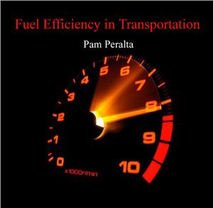 Peralta P. Fuel Efficiency in Transportation