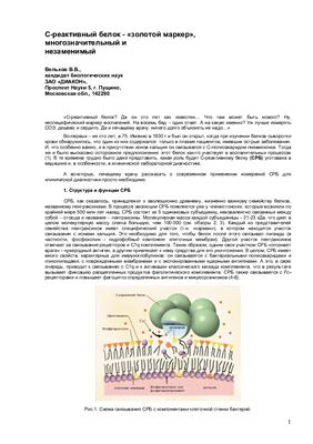Вельков В.В. С-реактивный белок - золотой маркер, многозначительный и незаменимый