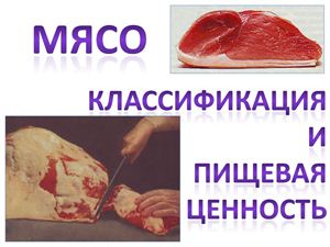 Лекция - Мясо. Классификация и пищевая ценность