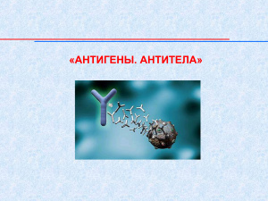 Антигены. Антитела