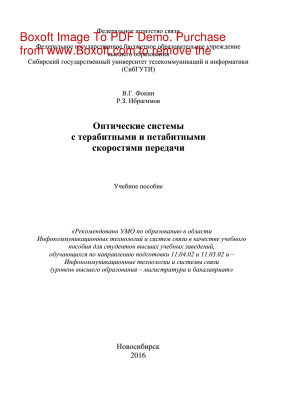 Фокин В.Г., Ибрагимов Р.З. Оптические системы с терабитными и петабитными скоростями передачи