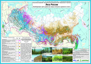 Леса России. Преобладающие группы древесных пород и сомкнутость древесного полога