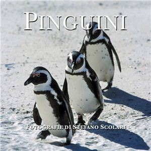 Scolari S. Pinguini (Пингвины)
