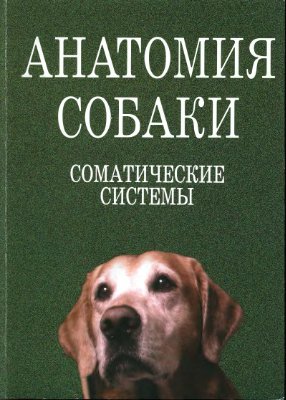 Слесаренко Н.А., Бабичев Н.В. и др. Анатомия собаки. Соматические системы