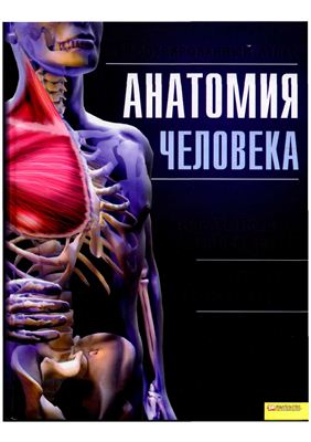 Скляр С.С. (гл. ред.), Кассан А. Анатомия человека. Иллюстрированный атлас