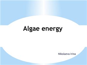 Algae energy