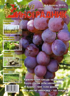 Мой виноградник 2012 №04