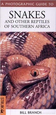 Branch B. A Photographic Guide to Snakes and Other Reptiles of Southern Africa