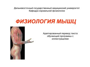 Физиология мышц: Теория скользящих нитей