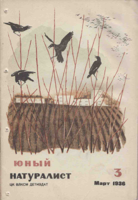 Юный натуралист 1936 №03