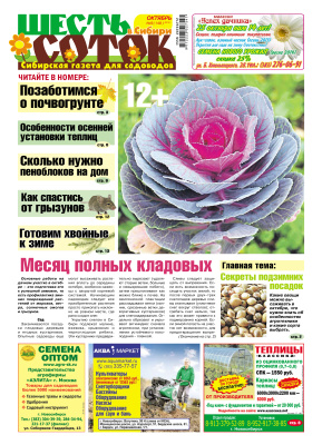 Шесть соток в Сибири 2013 №09 (148)