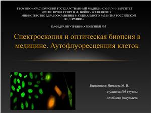 Спектроскопия и оптическая биопсия в медицине. Аутофлуоресценция клеток