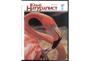 Юный натуралист 1999 №03