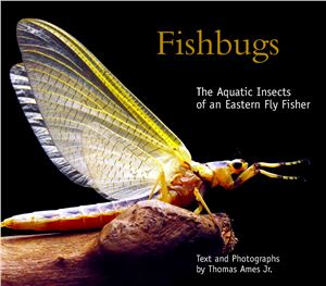 Thomas Ames Jr. Fishbugs: The Aquatic Insects of an Eastern Flyfisher (о насекомых для нахлыстовой ловли)