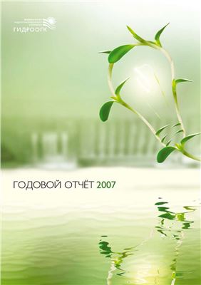 Годовой отчет ГидроОГК за 2007г