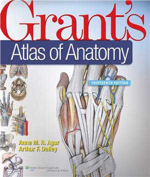 Agur A.M.R., Dalley A.F. Grant’s Atlas of Anatomy