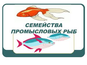 Семейства промысловых рыб