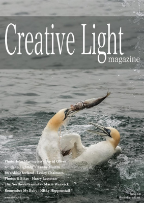 Creative Light 2016 №14