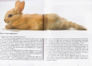 Альтман Д. Карликовые кролики. Содержание и уход