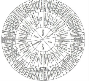 Wheel of Vocabulary for Attitudes