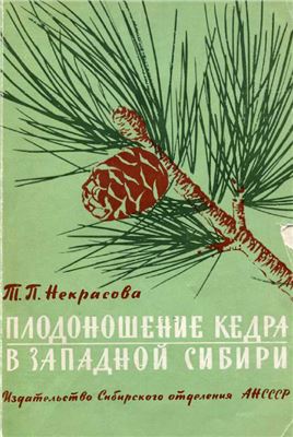 Некрасова Т.П. Плодоношение кедра в Западной Сибири