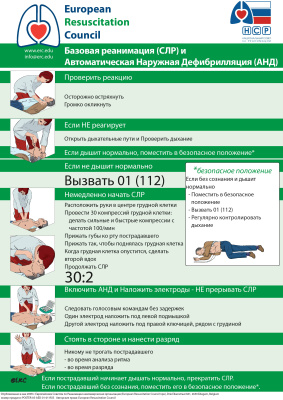 Плакаты Европейского института интенсивной терапии European Resuscitation Council