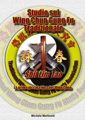 Martinelli Michele. Studio sul Wing Chun Gung Fu Tradizionale. Shil Lim Tao. La prima piccola idea del Wing Chun