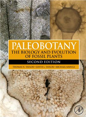 Taylor T.N., Taylor E.L., Krings M. Paleobotany. The biology and evolution of fossil plants
