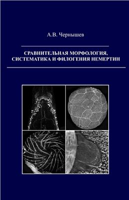 Чернышев А.В. Сравнительная морфология, систематика и филогения немертин