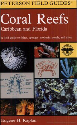 Kaplan E.H. A Field Guide to Coral Reefs: Caribbean and Florida