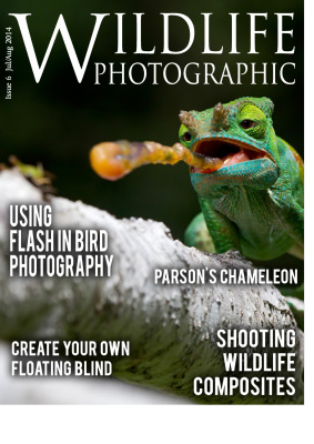 Wildlife Photographic 2014 №07-08