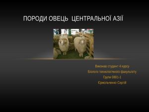 Породи овець централної азії