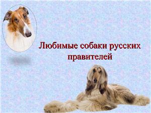 Любимые собаки русских правителей