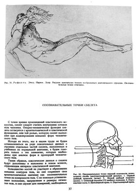 Гицеску Георге. Пластическая анатомия для художников. Том 1. строение тела
