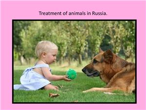 Treatment of animals in Russia. составила студентка Курбанова М.М