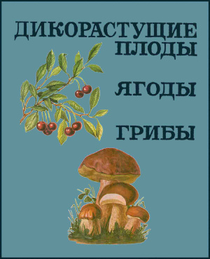 Колдаев В.Н. (сост.) Дикорастущие плоды, ягоды, грибы