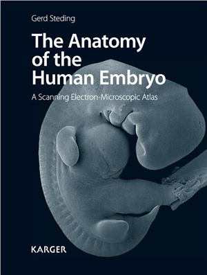 Атлас - The Anatomy of the Human Embryo