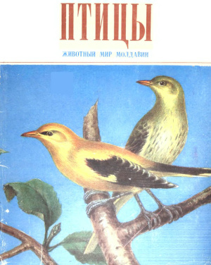 Успенский Г.А. (ред.) Птицы