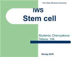 Презентация - Stem cell