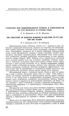 Карасева Е.В., Шиляева Л.М., Строение нор обыкновенного хомяка в зависимости от его возраста и времени года