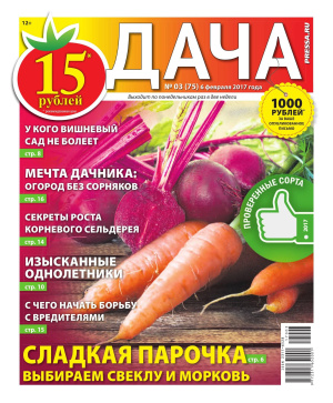 Дача Pressa.ru 2017 №03 (75)