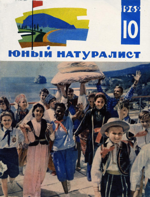 Юный натуралист 1962 №10