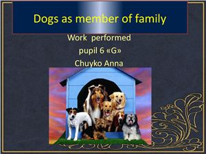 Dogs as member of family/Собаки как часть семьи